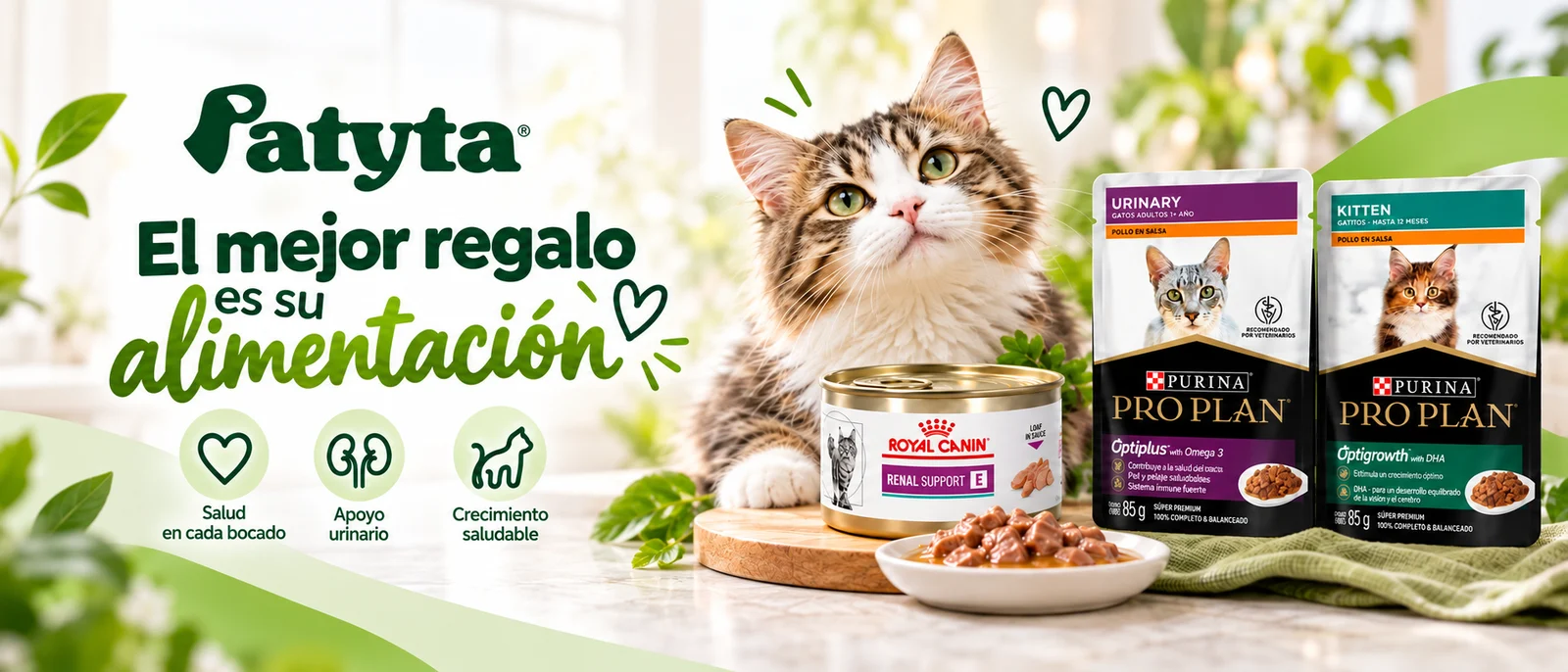 El mejor regalo es su alimentación