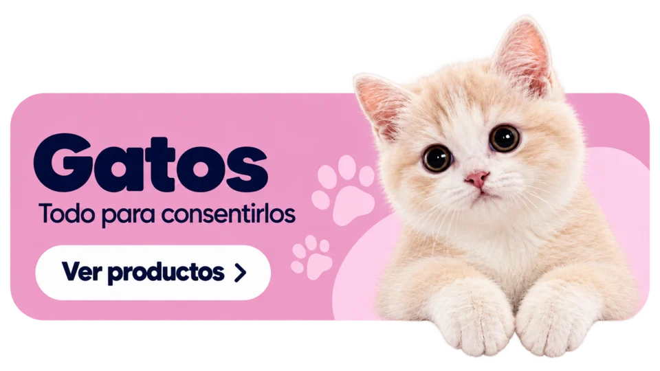 Gatos. Todo para consentirlos. Ver productos.