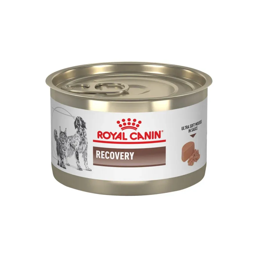 Royal Canin Recovery Lata · 150 g
