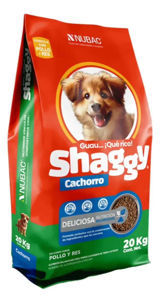 Shaggy Cachorro